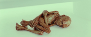 830px-Vlcsnap-2011-10-26-11h17m34s161.png