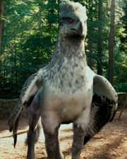 Fierobecco.png