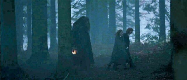 File:Hagrid with trio.jpg