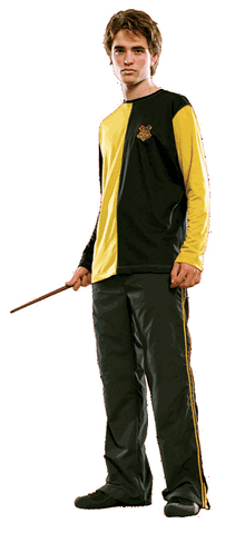 File:Cedric Diggory GOF.gif