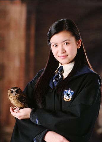 Fil:2005 harry potter and the goblet of fire 009.jpg