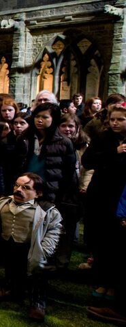 File:Cho Chang among the crowd.jpg