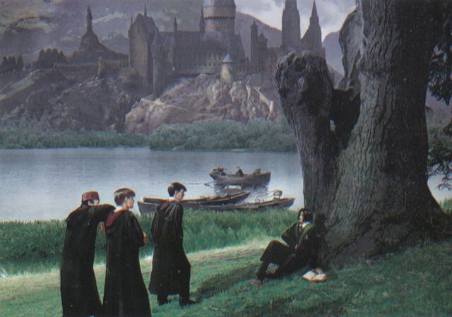 File:MaraudersPickingOnSnape.jpg