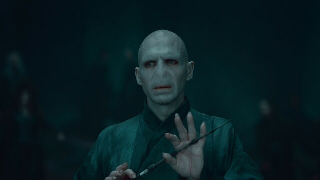 Dosya:Harry potter actors ralph fiennes lord voldemort tomm ridley 1920x1080 wallpaper www.wallmay.com 69.jpg