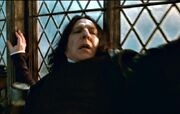 Dhsnape.jpg
