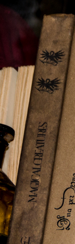 File:MagicalCreatures.png