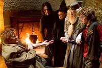 McGonagall-HP4.jpg