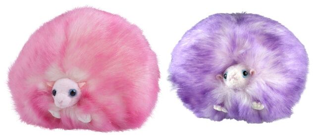 File:Pygmy puffs.jpg