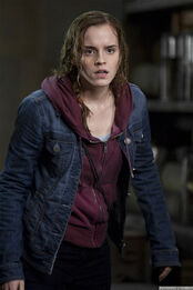 Hermione-granger-gallery.jpg