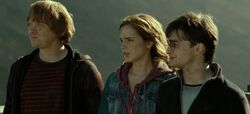 Trio after battle.jpg