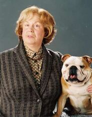 Dursley family - Harry Potter Wiki - Wikia