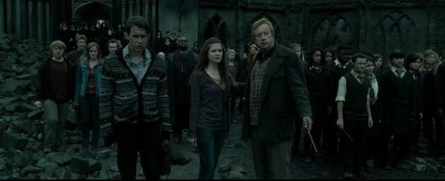 Bestand:DH2 confronting Voldemort.jpg