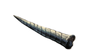 Corno-di-unicorno.png