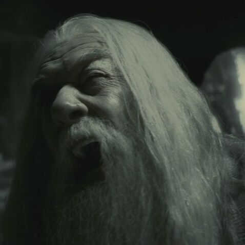 File:Dumbledore grief.jpg