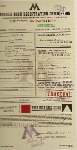 File:NymphadoraTonksMinistryFile.png