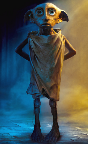 File:Dobby Full CoS.png