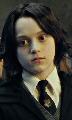 File:Harry-potter7-movie-screencaps.com-9117.jpg