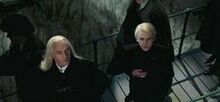 Draco mistrz.jpg