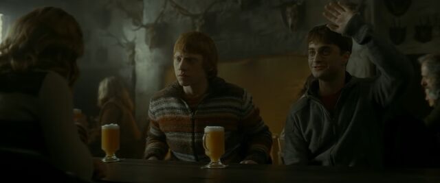File:Conservation and Butterbeer.jpg
