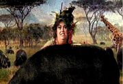 Fatlady escape.jpeg