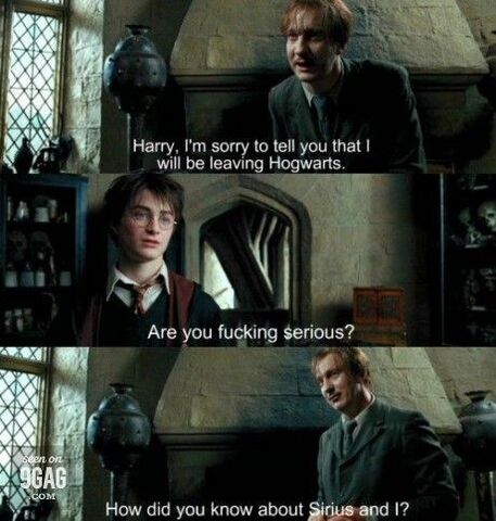 Bestand:Funny,harry,potter-0b2c95e1d0efbcb0e75d12f4f97dcba0 h.jpg