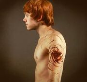 Estrunchamento de Ronald Weasley.jpg