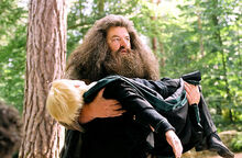 Malfoy.jpg