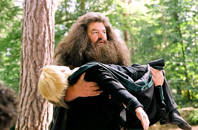 Fitxer:Malfoy.jpg