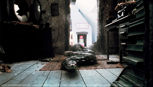 File:NaginiDeathlyHallows2.jpg