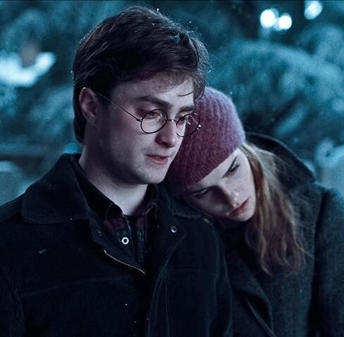 File:Hermione, Harry (0).jpeg