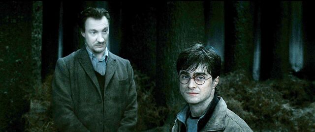 File:Harry-potter7-harry lupin.jpg