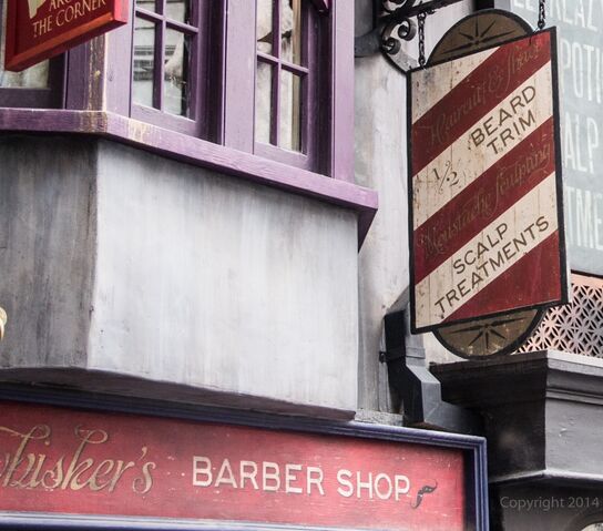 File:WhiskersBarberShop.jpg