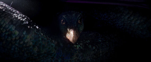 File:Occamy Fantastic Beasts CC Trailer WM.jpg