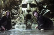 Harry-Ginny-Chambre-Secrets-statue-Salazar.jpg