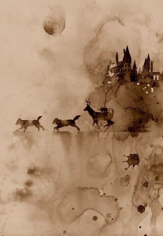 File:Harry-potter-hermione-granger-james-potter-art-Favim.com-4277009.jpg