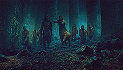 OF-4.gif