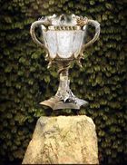 Taça Tribruxo 003.jpg