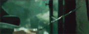 Grindelwald volant la Baguette de Sureau.gif