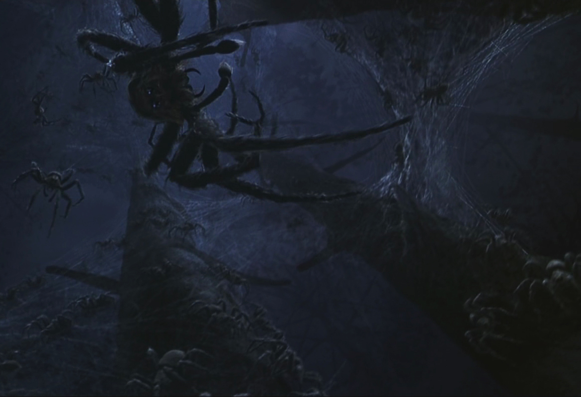 Spinne HarryPotterLexikon FANDOM powered by Wikia
