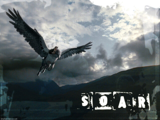 File:Harry & buckbeak.jpg