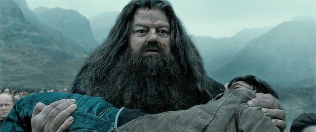 File:Hagrid carrying Harry.jpg
