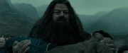 Hagrid carrying Harry.jpg