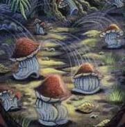 Leaping Toadstools.jpg