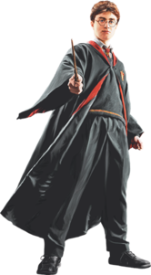 Harry in Robe with Wand Front View (Painting) - Harry Potter and the Half-Blood Prince™.png