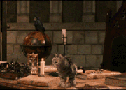 McGonagall Animagus.gif