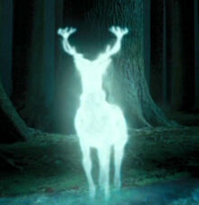 Harry Potters' Patronus.jpg