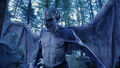 Thumbnail for version as of 08:56, December 6, 2012