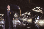 Harry In Chamber.jpg