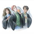 Books chapterart hbp 14.jpg