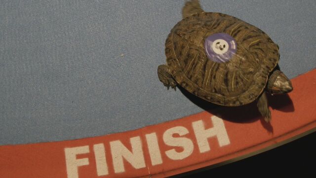 File:Slowbob.jpg